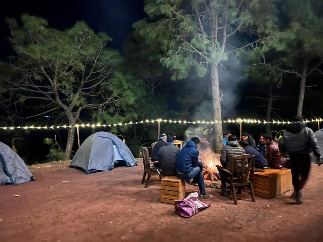 Hotel Tribe View - Away From City Hustle !! Top Rated & Most Awarded Property !! A Peaceful Stay Kasauli Zewnętrze zdjęcie