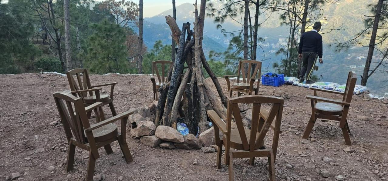 Hotel Tribe View - Away From City Hustle !! Top Rated & Most Awarded Property !! A Peaceful Stay Kasauli Zewnętrze zdjęcie